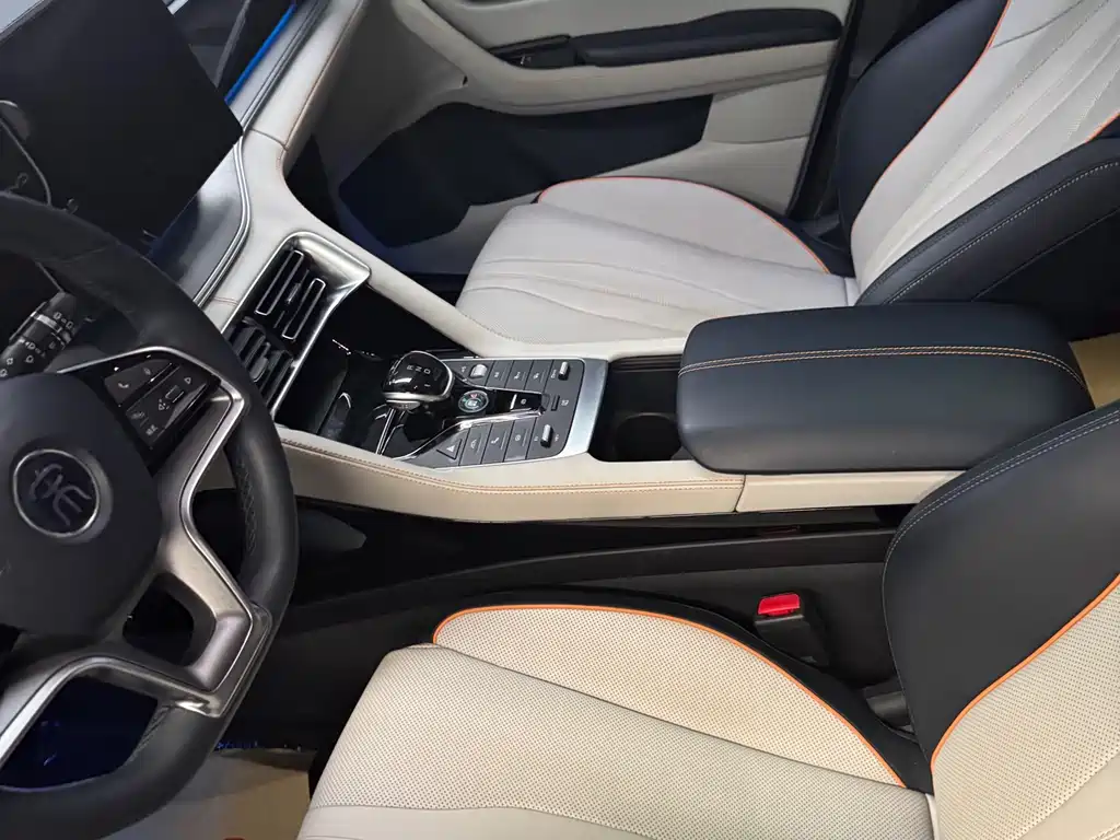 BYD PLUS New Energy 2023 — фото 13