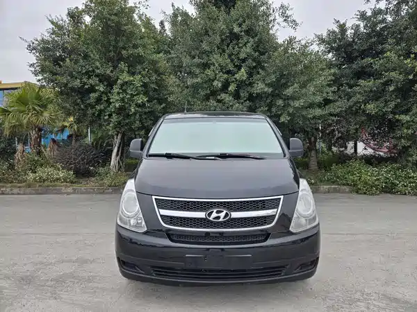 Hyundai H-1 Huiyi 2013