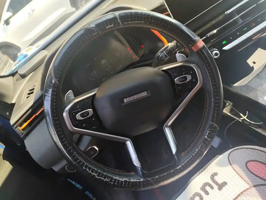 Haval Harvard Red Rabbit 2021 — фото 15