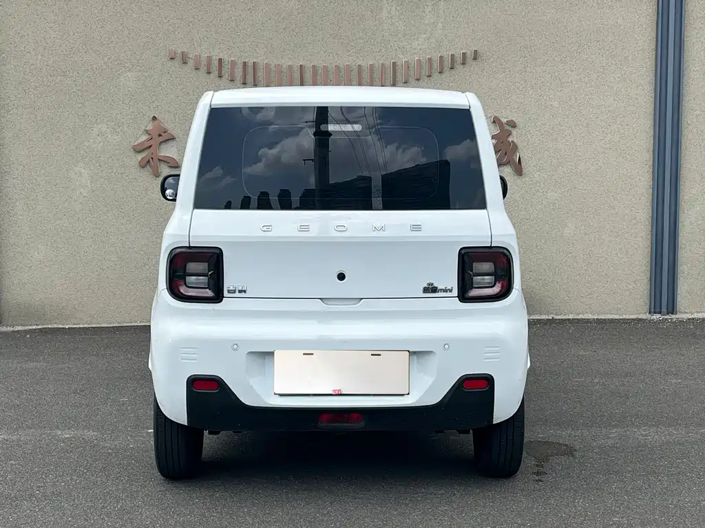 Geely Galaxy Panda 2024