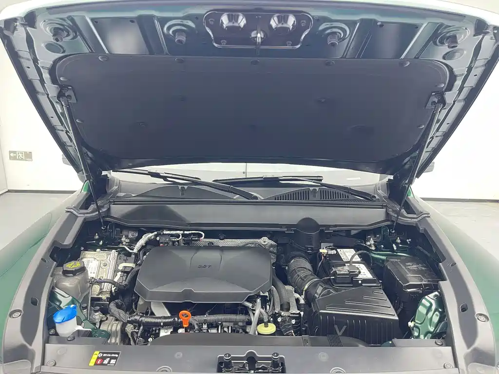 Haval Raptors Fuel 2025 — фото 16