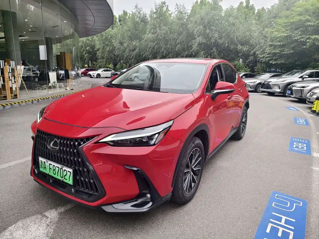 Lexus NX New Energy 2022