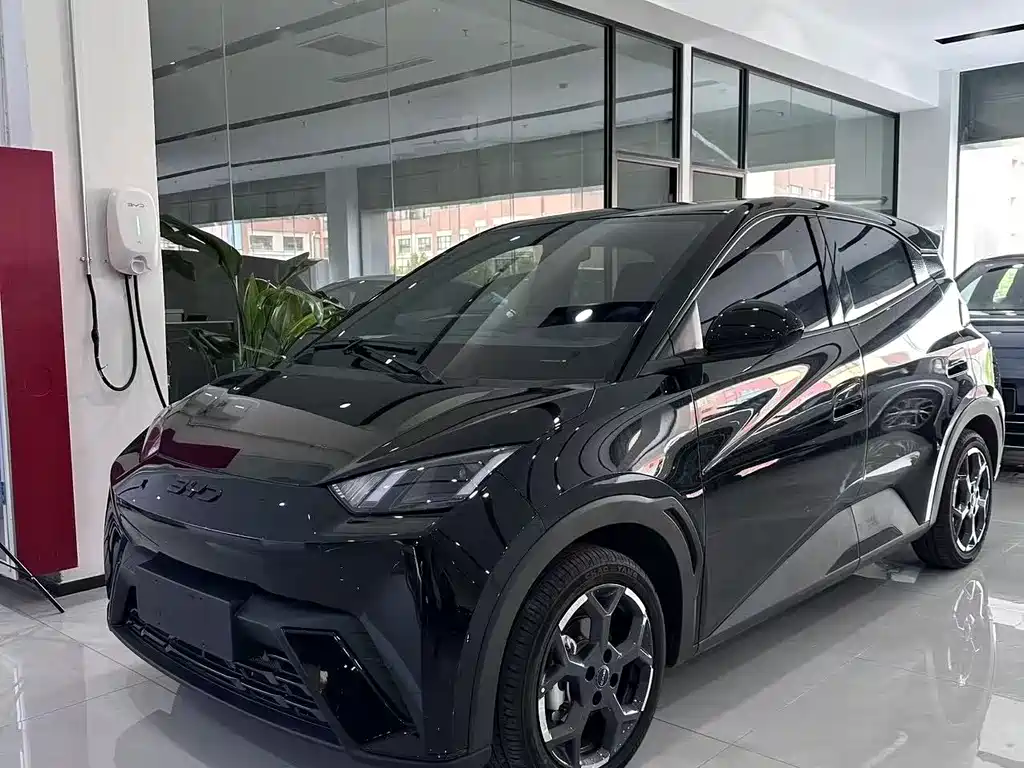 BYD Seagull 2024