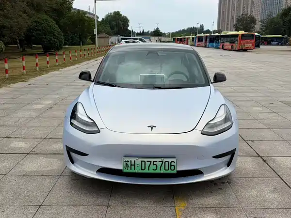 Tesla Model 3 2020