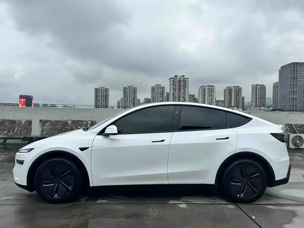 Tesla Model Y 2025 — фото 3