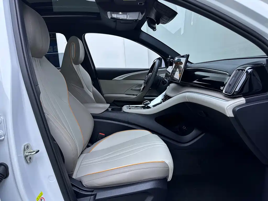 BYD Song Pro New Energy 2024 — фото 12