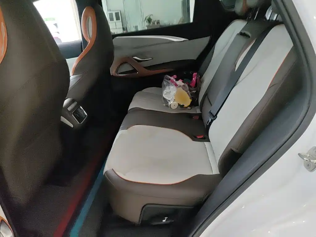 BYD Pro New Energy 2023 — фото 17