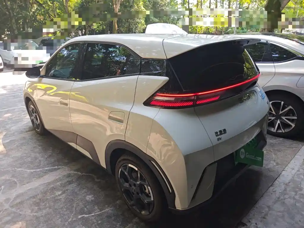 BYD Seagull 2024