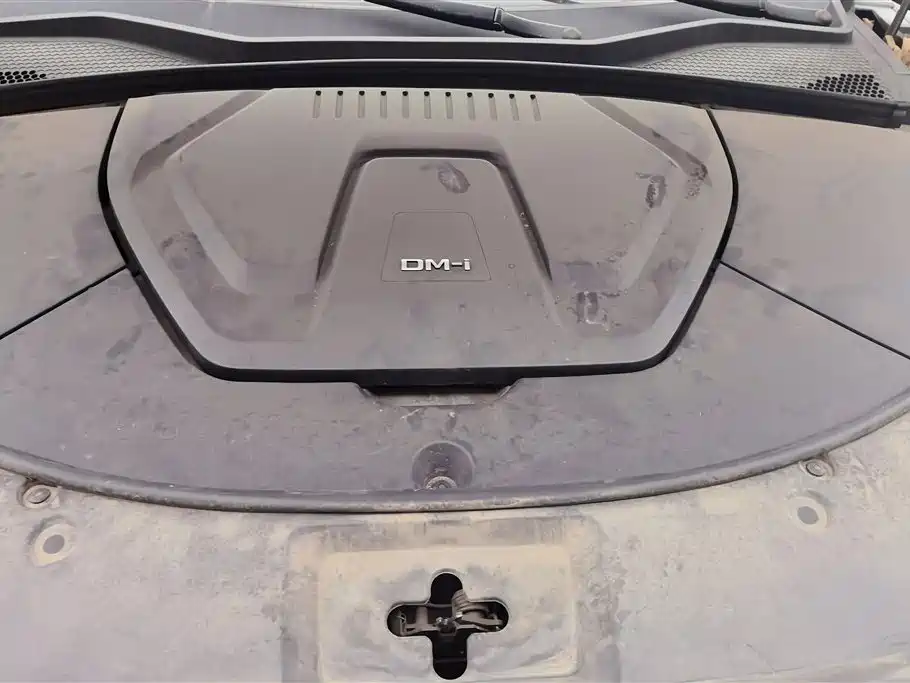 BYD PLUS New Energy 2023 — фото 10