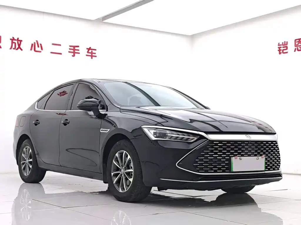 BYD Qin PLUS 2024 — фото 3