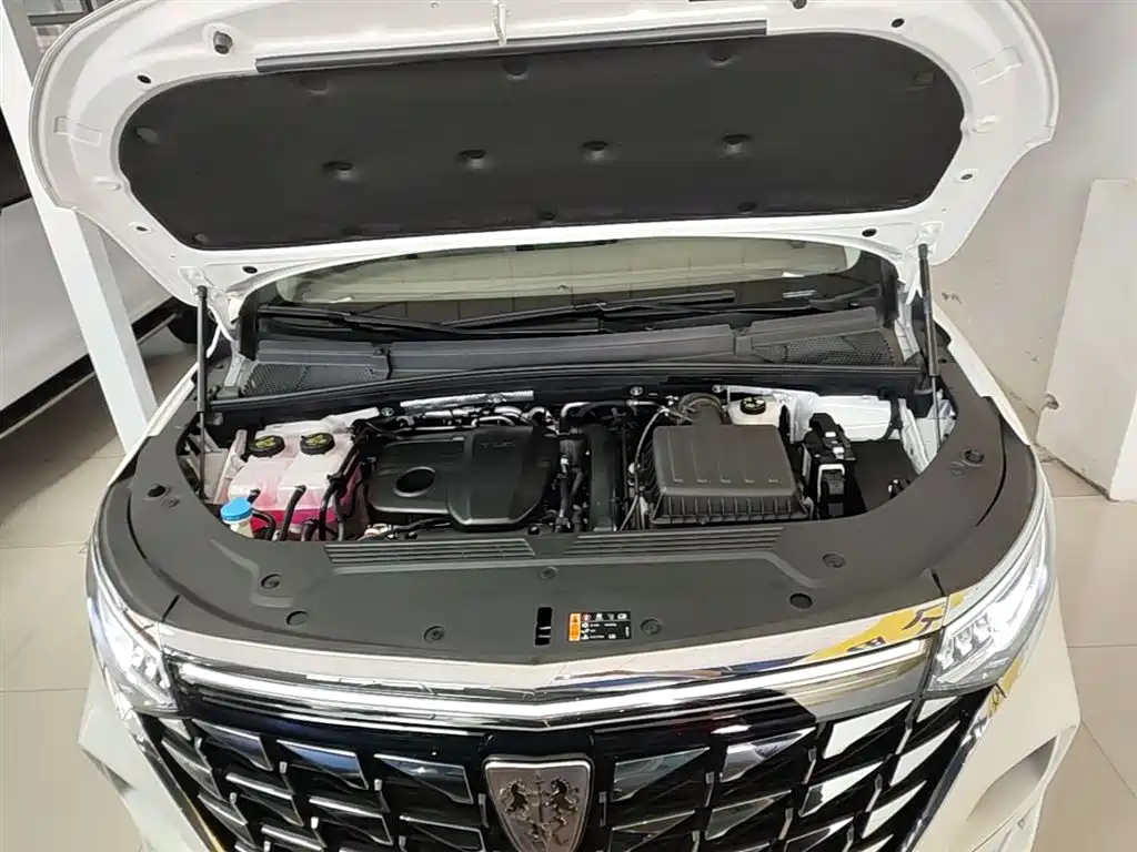 Roewe iMAX8 New Energy 2025 — фото 20