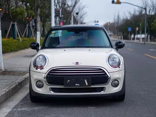 MINI MINI 2018