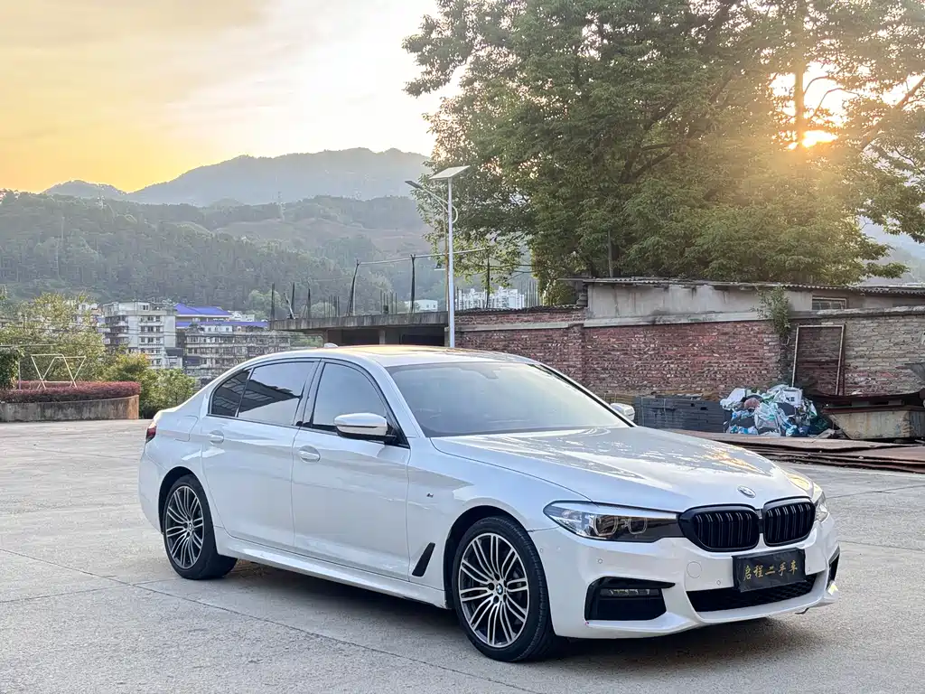 BMW 5 Series 2019 — фото 3