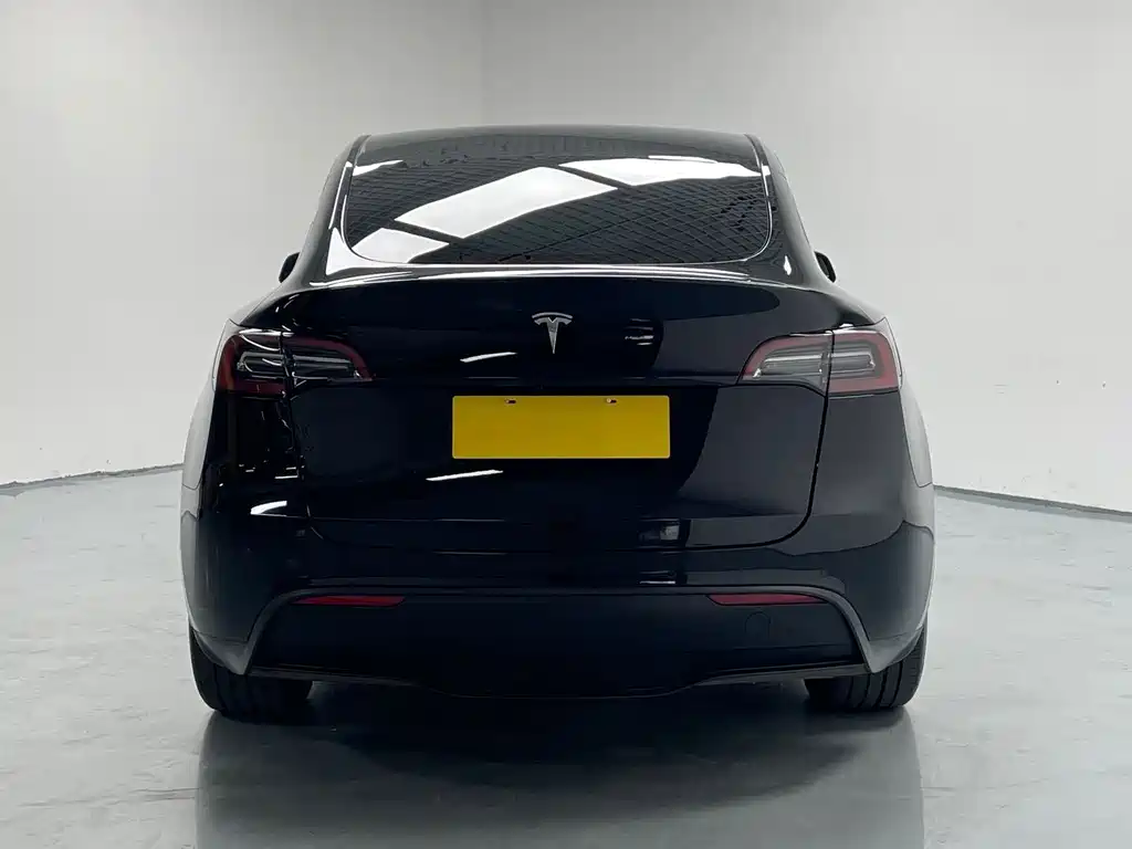 Tesla Model Y 2023 — фото 6