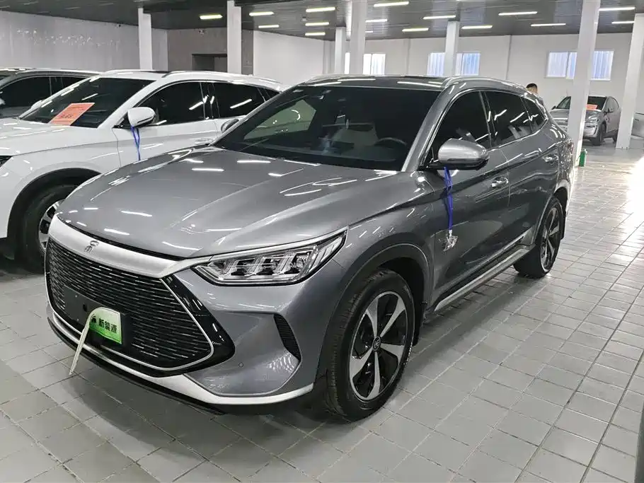 BYD PLUS New Energy 2023 — фото 1