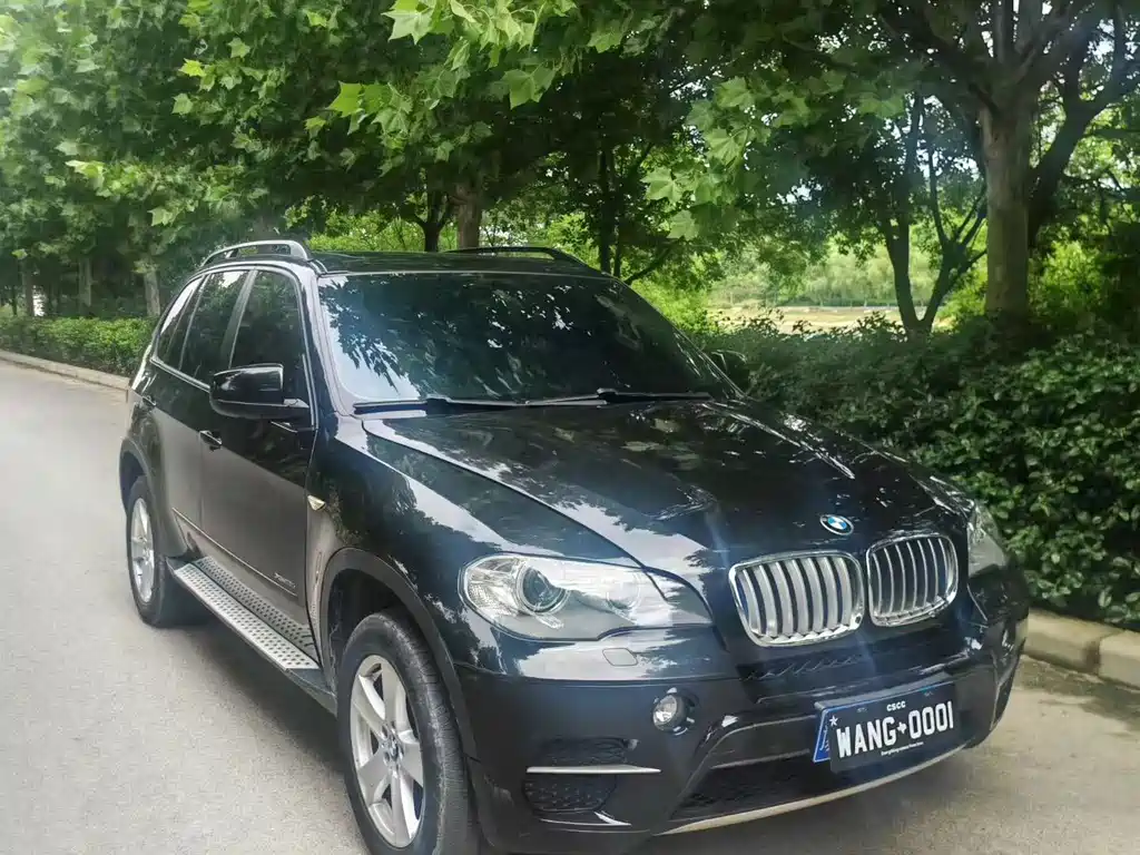 BMW X5 2012 — фото 9