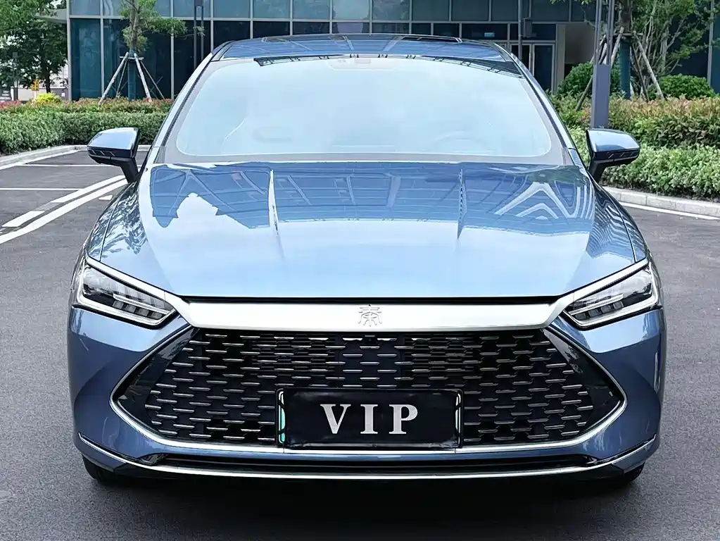 BYD Qin PLUS 2024 — фото 2
