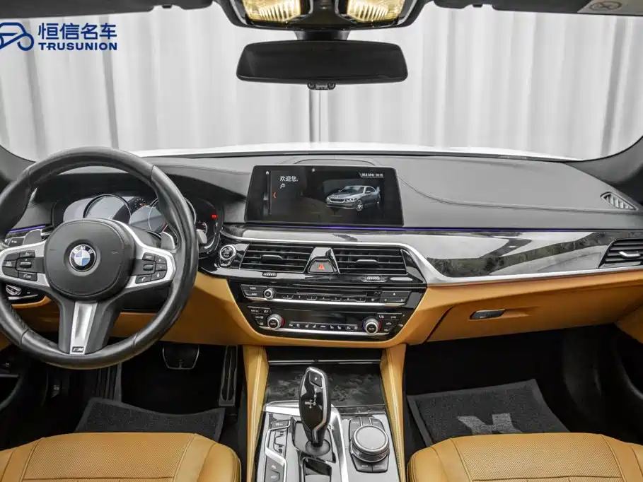BMW 5 Series 2018 — фото 13