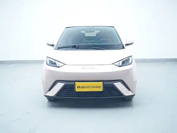 BYD Seagull 2024