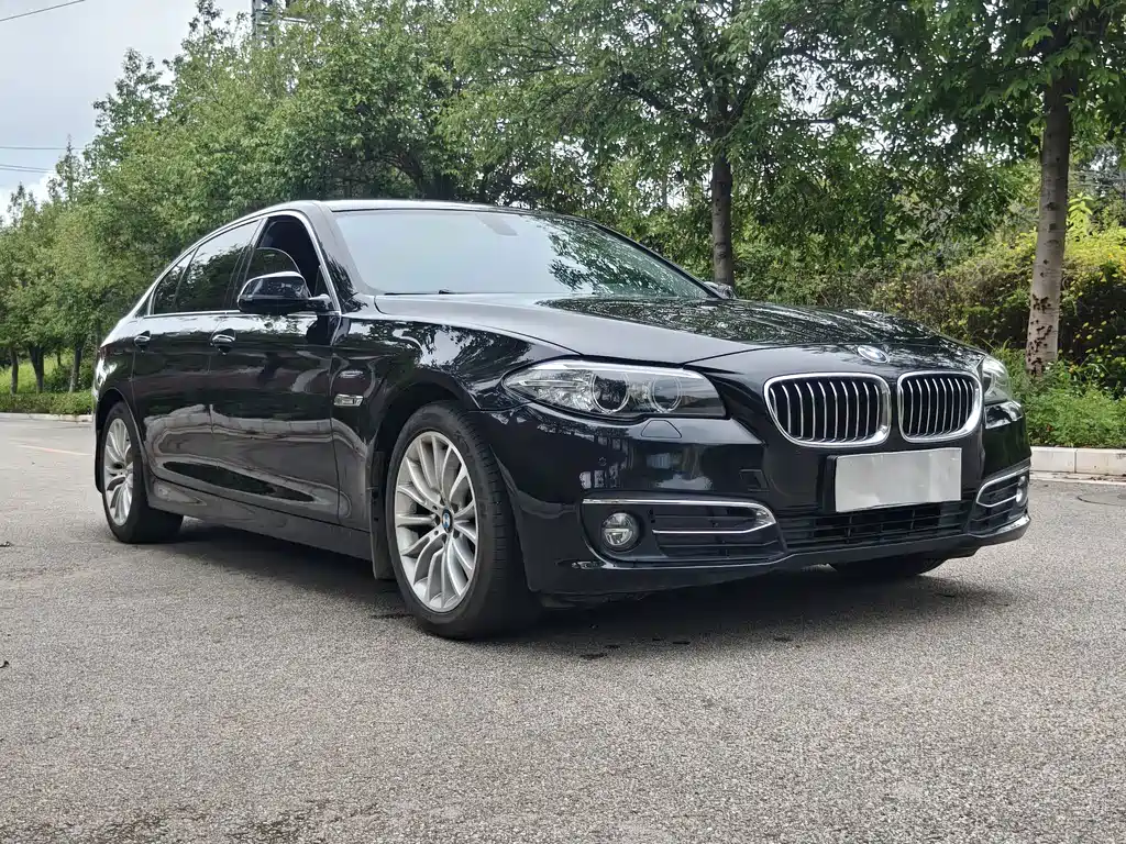 BMW 5 Series 2016