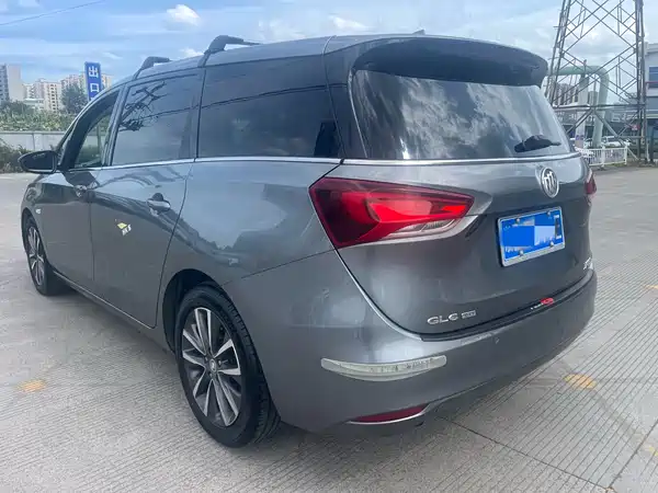 Buick GL6 2019