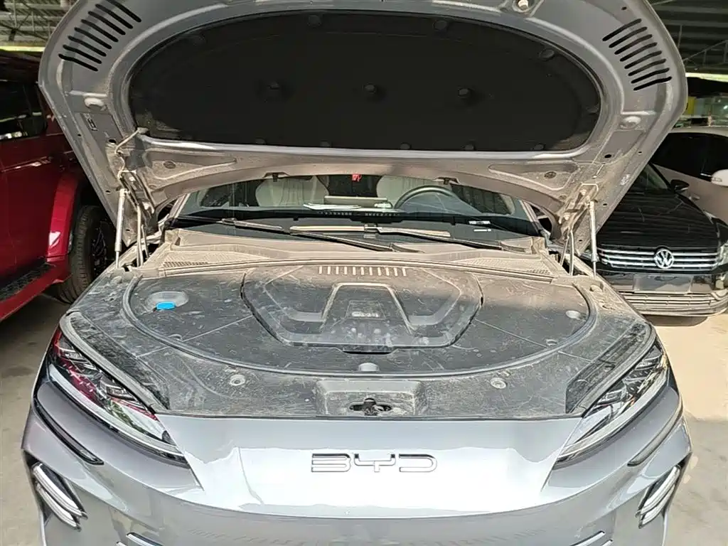 BYD PLUS New Energy 2024 — фото 20