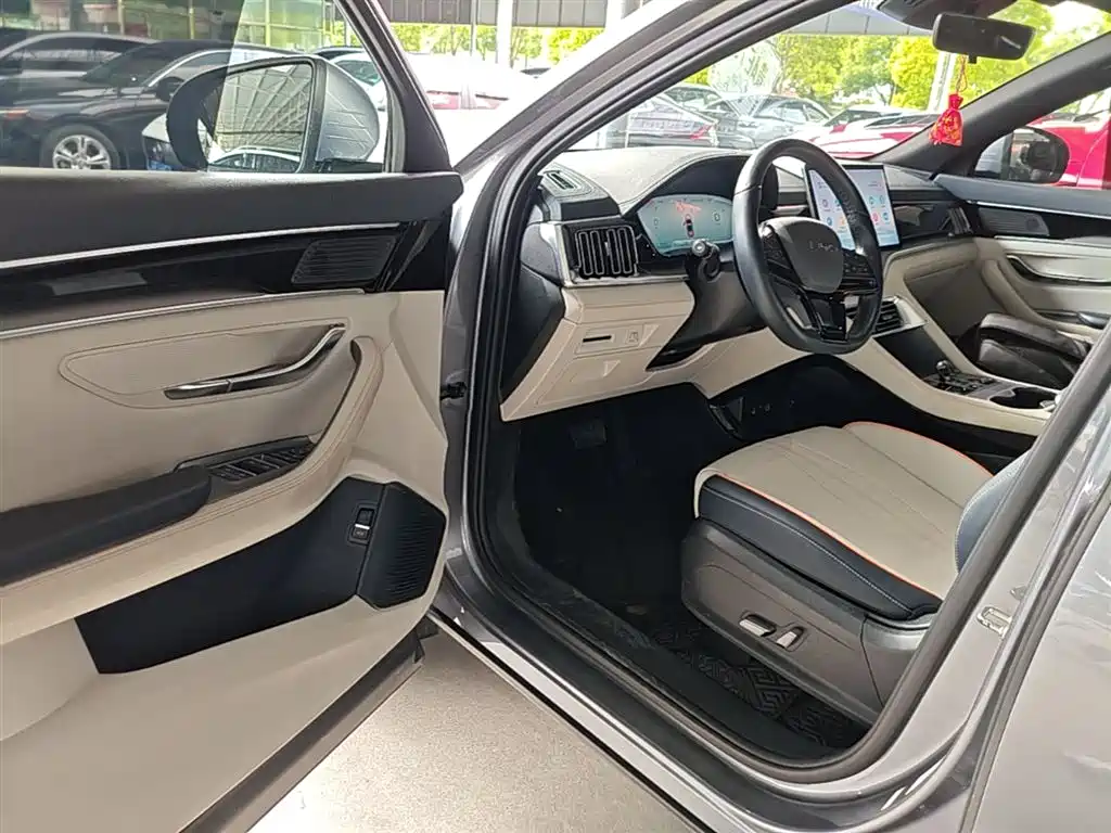 BYD PLUS New Energy 2024 — фото 16