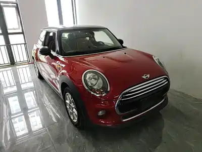 MINI MINI 2014