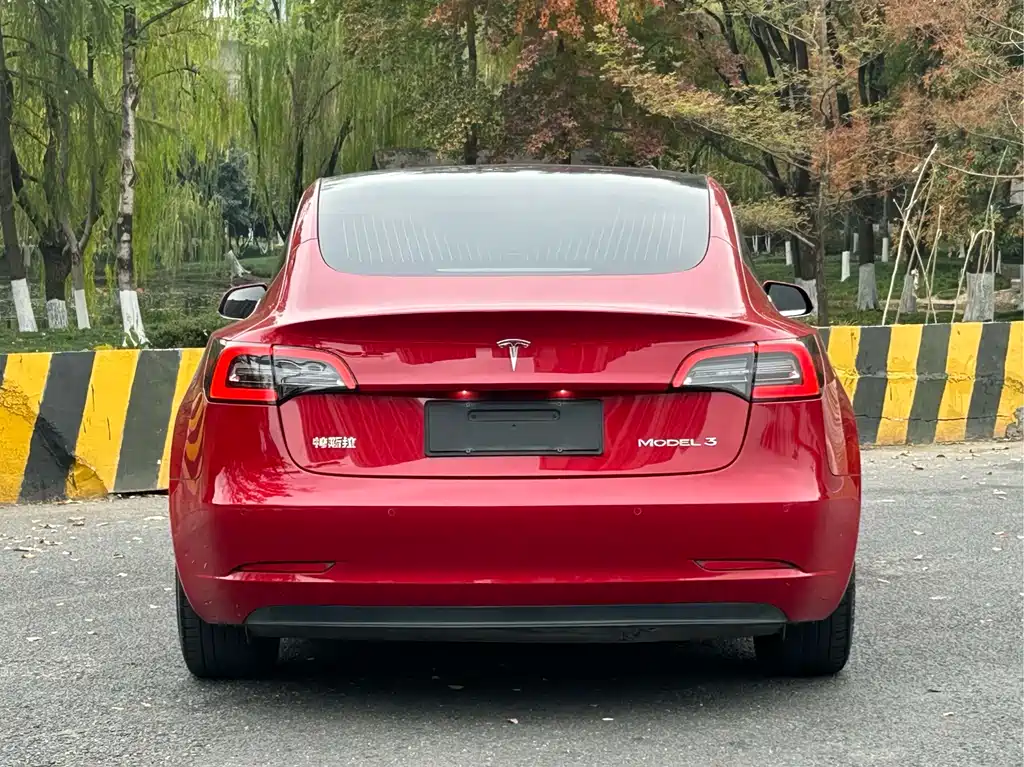 Tesla Model 3 2020 — фото 6