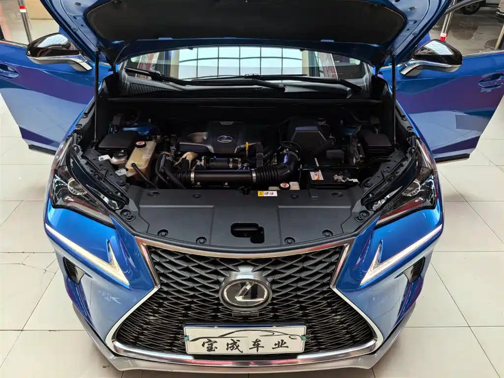 Lexus NX 2017 — фото 21