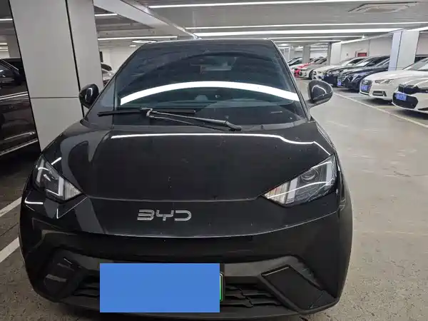 BYD Seagull 2025