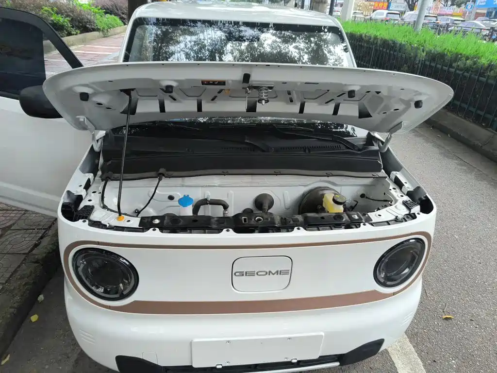 Geely Galaxy Panda 2025 — фото 21