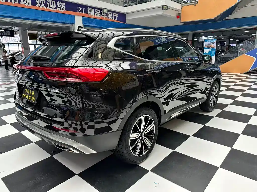 Haval H6 2023 — фото 17