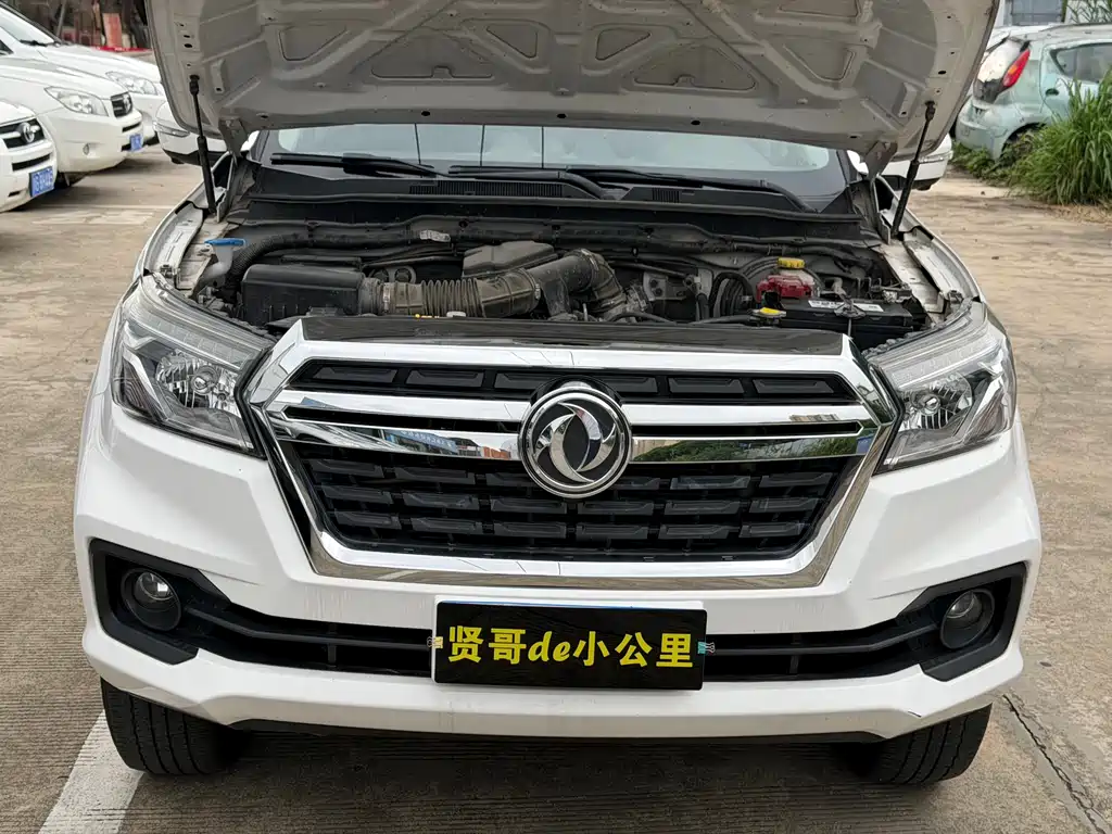 Dongfeng Ruiqi 2022 — фото 11