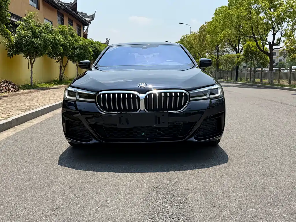 BMW 5 Series New Energy 2022 — фото 2