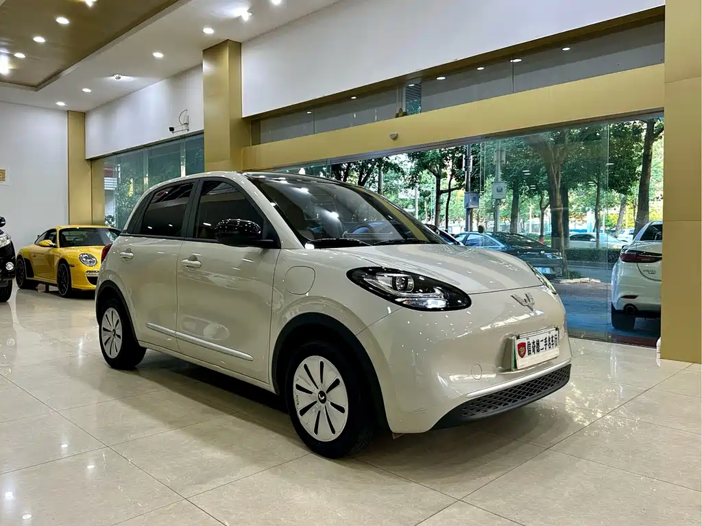 Wuling Bingo 2024