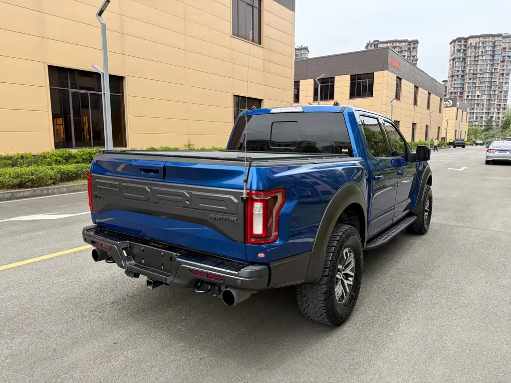 Ford F-150 Raptor 2018 — фото 8