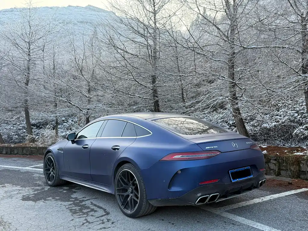 Mercedes-Benz AMG GT 2019 — фото 8