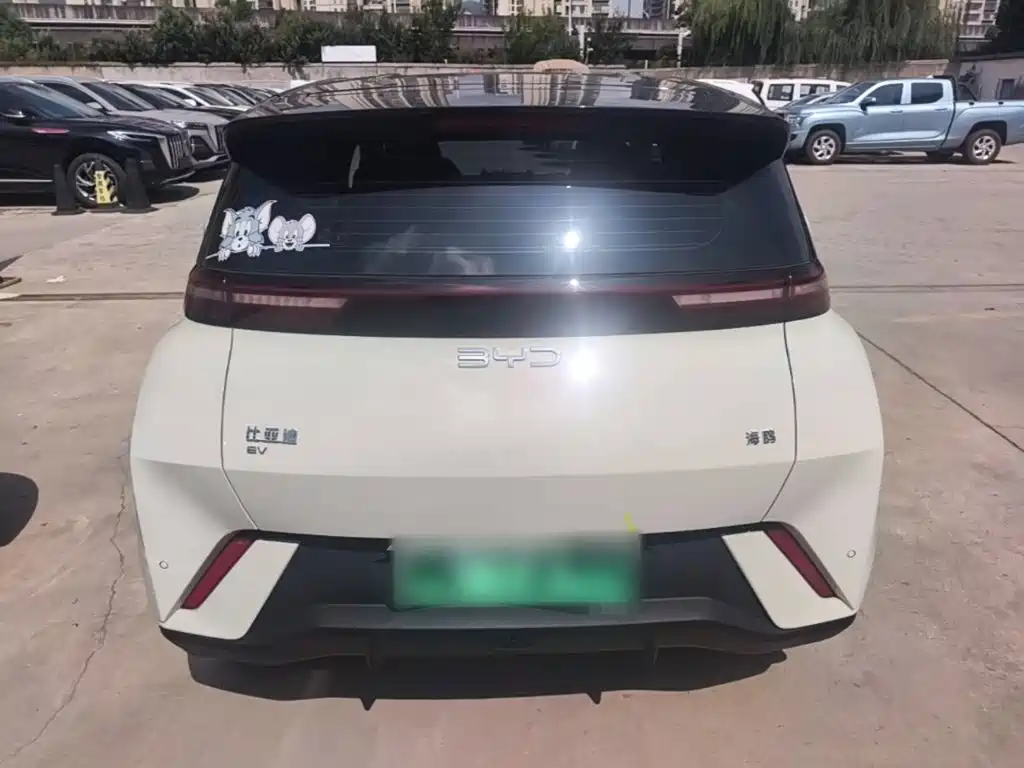 BYD Seagull 2024