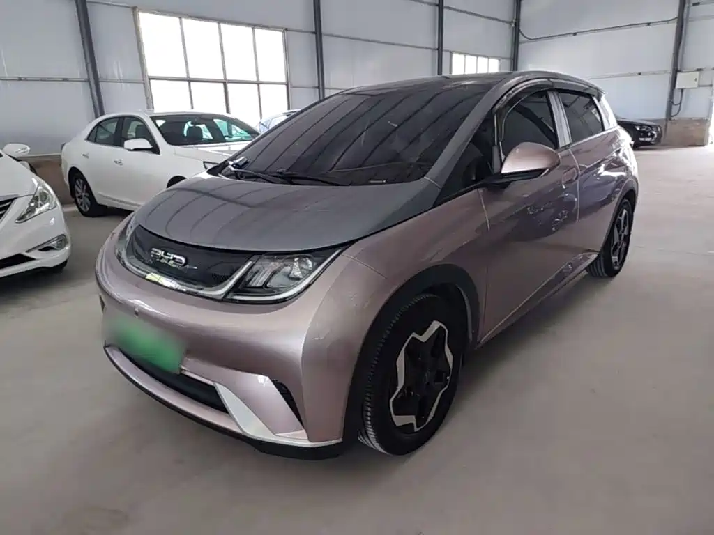 BYD Dolphin 2022