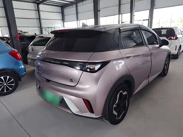BYD Dolphin 2022