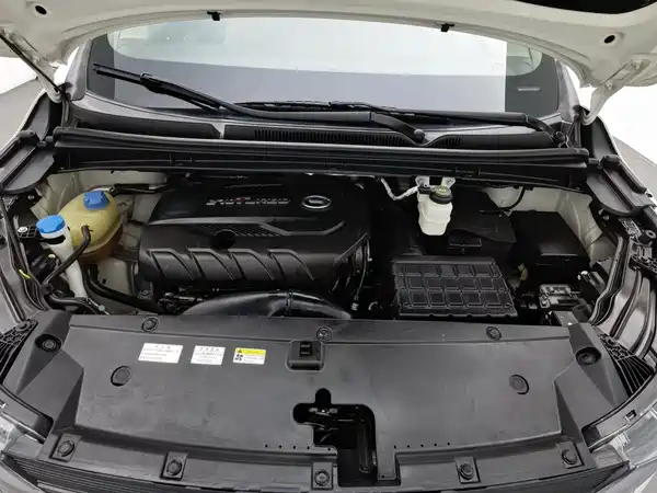 GAC Trumpchi M6 2020