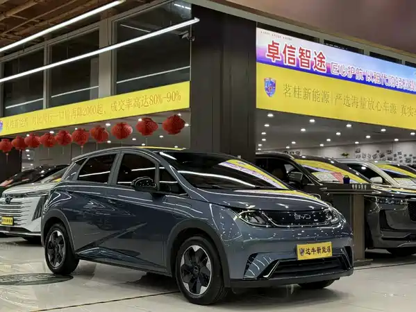 BYD Dolphin 2026