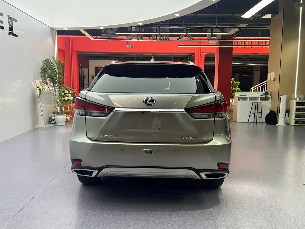 Lexus RX 2021 — фото 18