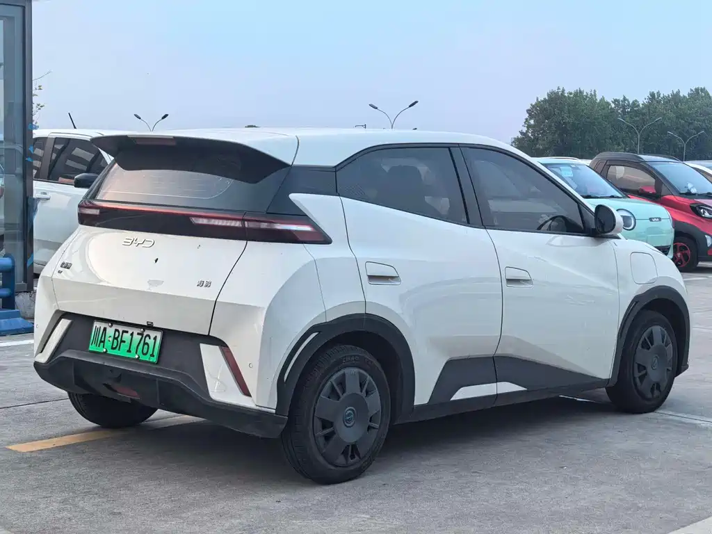BYD Seagull 2024