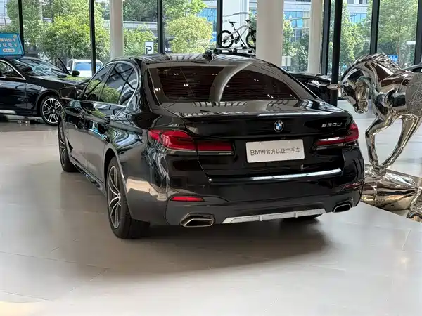 BMW 5 Series 2021