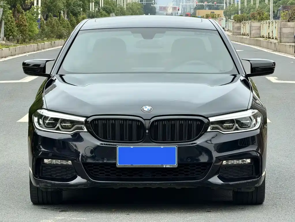 BMW 5 Series 2018 — фото 2