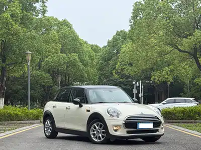MINI MINI 2016