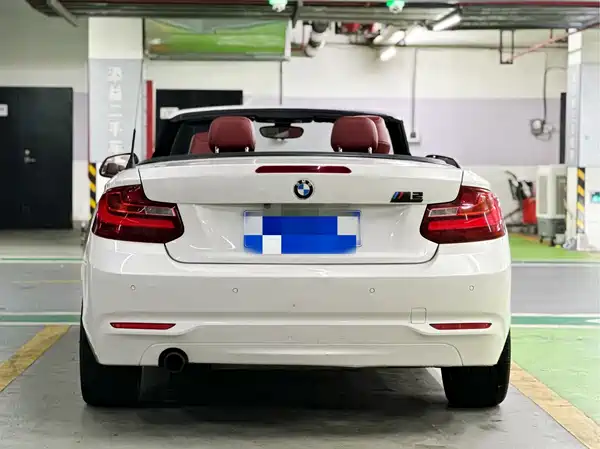 BMW 2 Series 2017