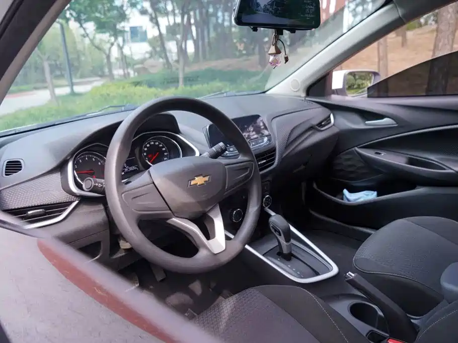 Chevrolet Cavalier 2020 — фото 16